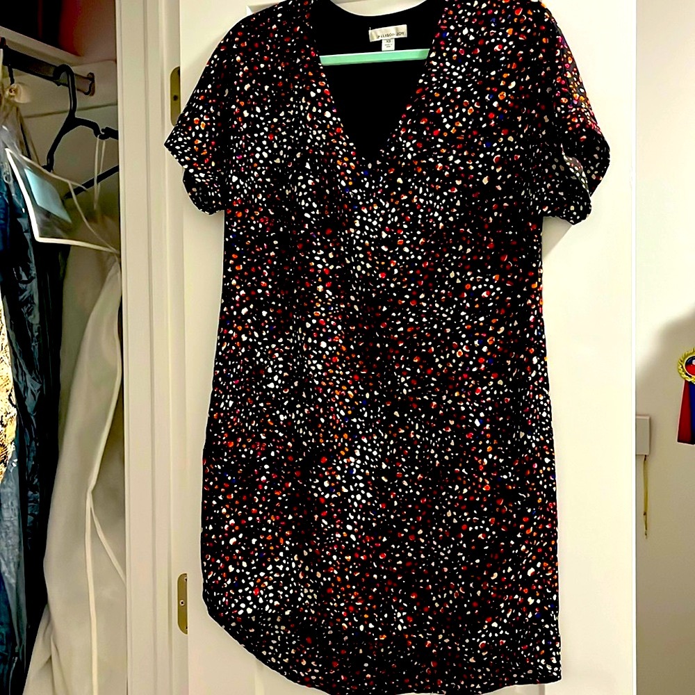Allison Joy Dress